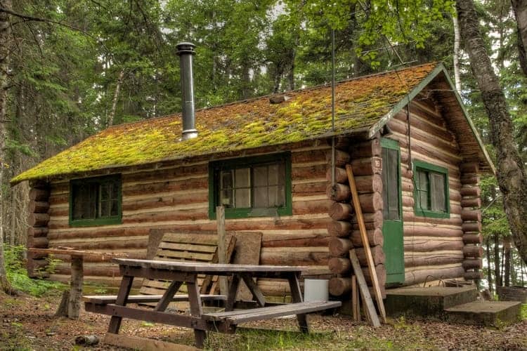 Does Log Cabin Add Value To Your Property? Expert Explain