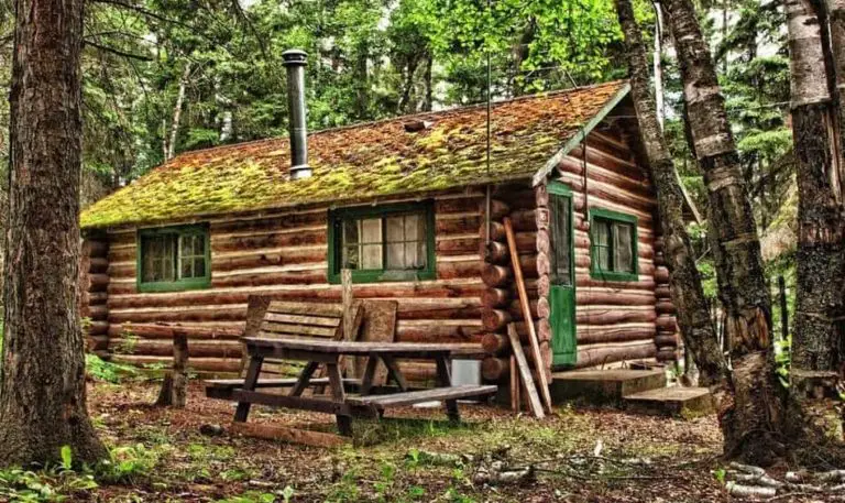 How Long Do Log Cabins Last? Expert Explain