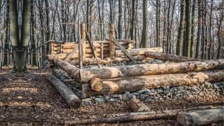 How To Build A Log Cabin Using Trees?