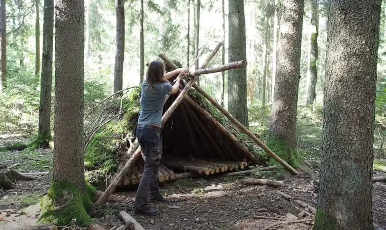 How To Build A Survival Cabin? Expert Explain