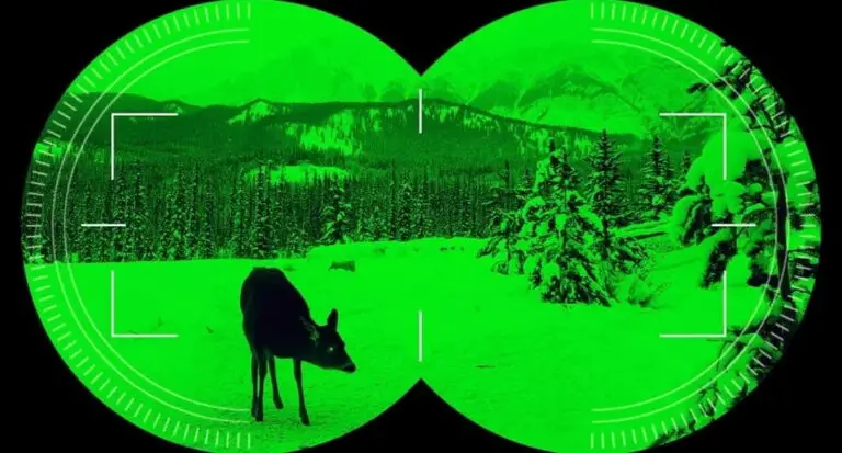 What Color Light Doesn’t Ruin Night Vision? Explained