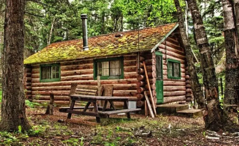 Are Log Homes Hard to Maintain?